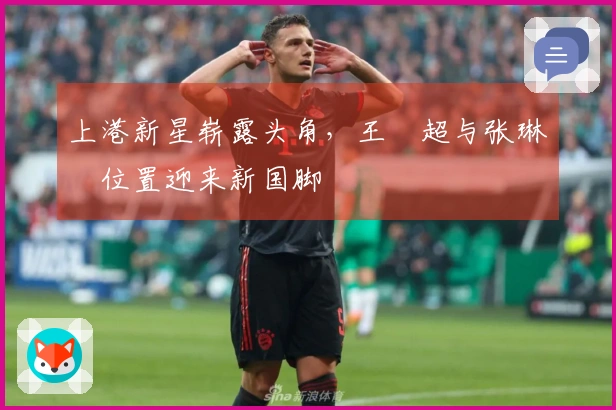 上港新星崭露头角，王燊超与张琳芃位置迎来新国脚